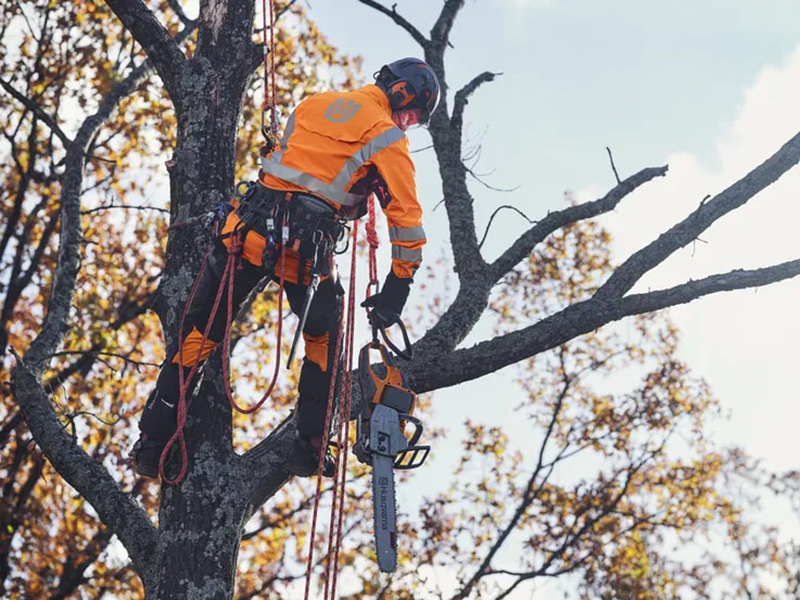 Husqvarna Power Equipment 550i XP 20 in. C35 - B330X-C500X-KIT (battery and charger included) in Saint Maries, Idaho - Photo 10