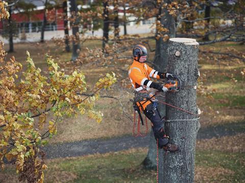 Husqvarna Power Equipment 550i XP G 20 in. C33 in Saint Maries, Idaho - Photo 8