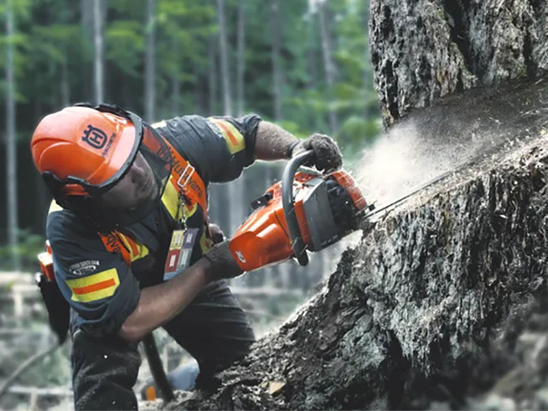 Husqvarna Power Equipment 550 XP Mark II 16 in. SP33G in Saint Maries, Idaho - Photo 18