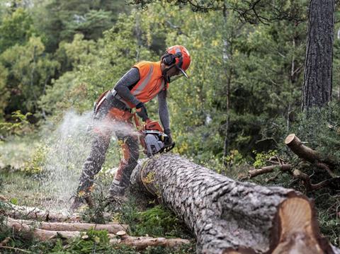 Husqvarna Power Equipment 550 XP Mark II 18 in. SP33G in Saint Maries, Idaho - Photo 15