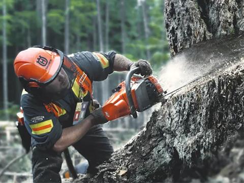 Husqvarna Power Equipment 565 20 in. C83 in Saint Maries, Idaho - Photo 13