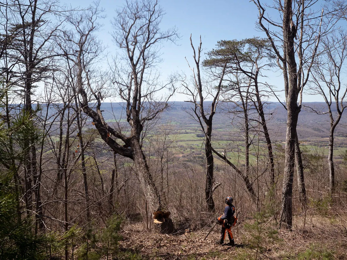 Husqvarna Power Equipment 585 32 in. H83 in Saint Maries, Idaho - Photo 9