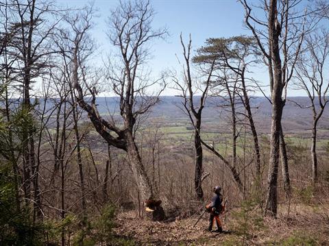 Husqvarna Power Equipment 585 36 in. H83 in Saint Maries, Idaho - Photo 9