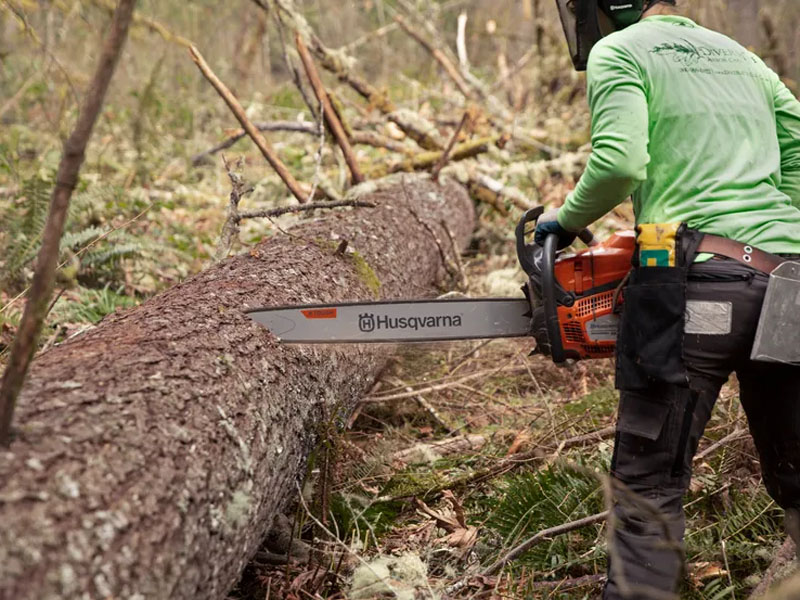 Husqvarna Power Equipment 585 20 in. C85 in Saint Maries, Idaho - Photo 15