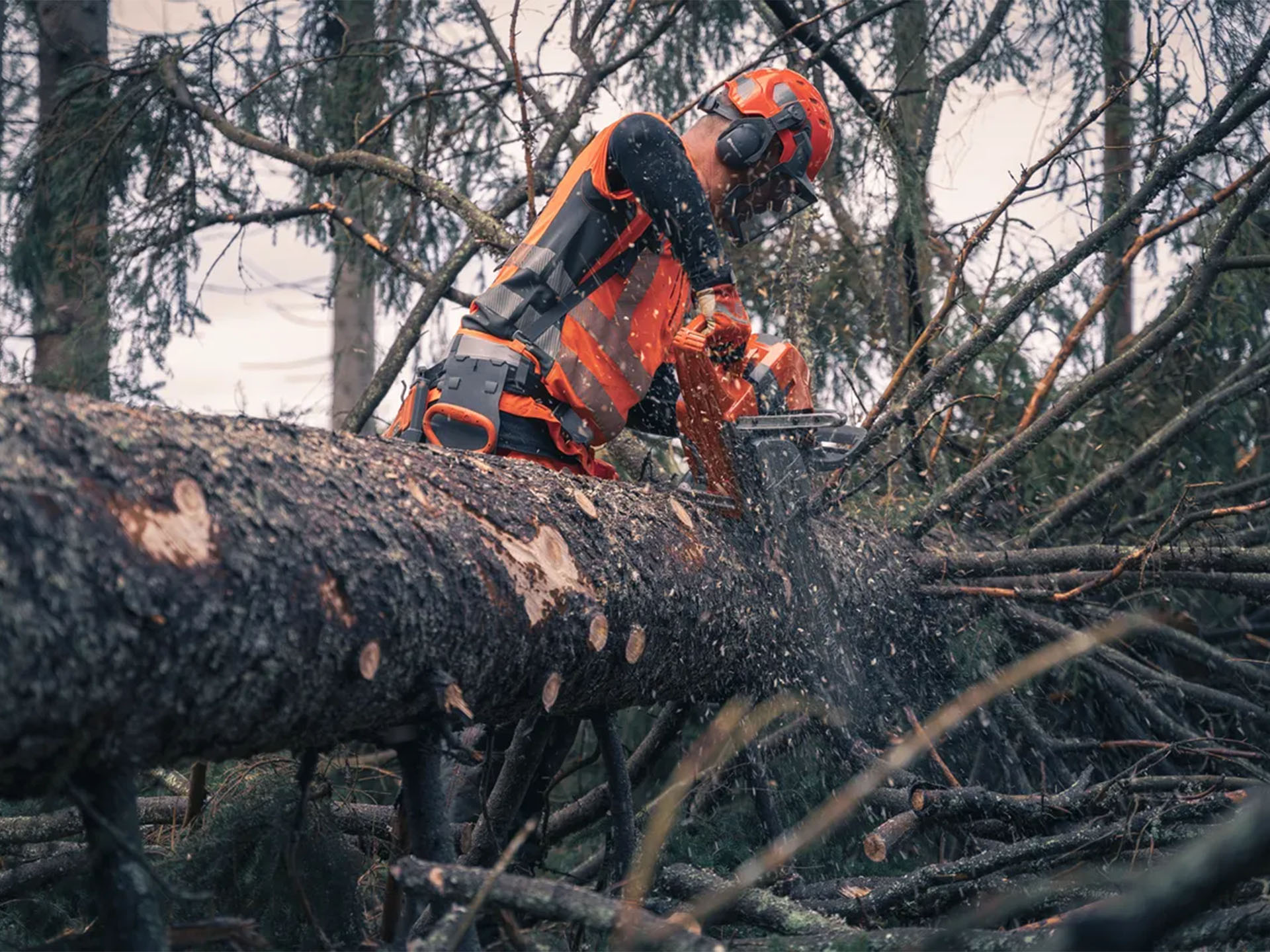 Save and Trade: Husqvarna Power Equipment 592 XP G 28 in. bar C83 vs ...