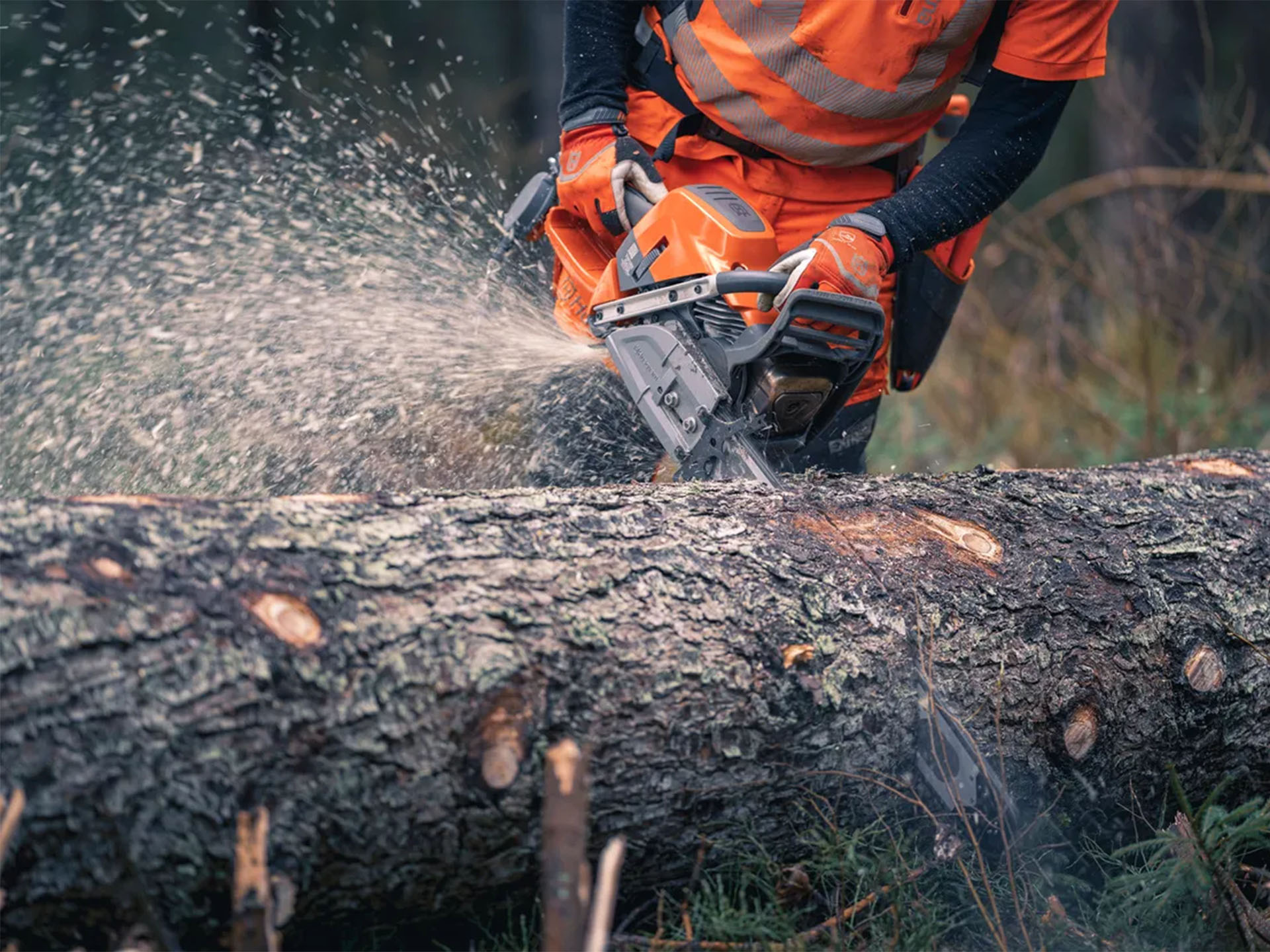 Save and Trade: Husqvarna Power Equipment 592 XP G 28 in. bar C83 vs ...