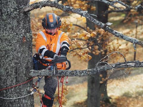 Husqvarna Power Equipment T435 12 in. (9669972-03) in Saint Maries, Idaho - Photo 10