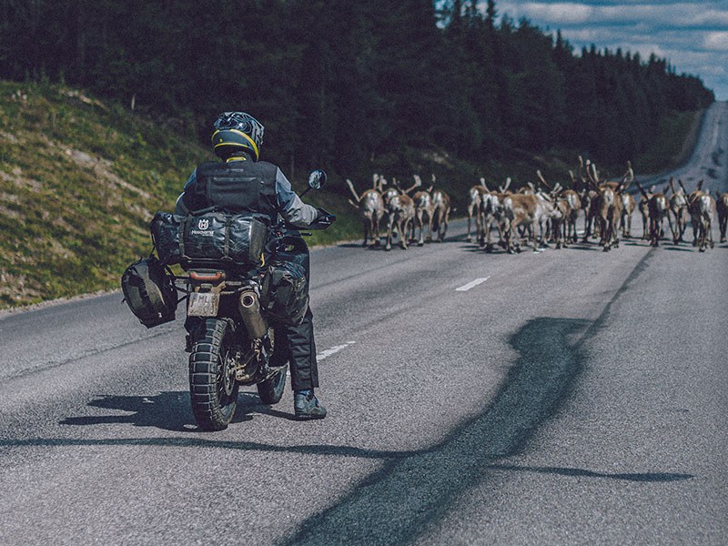2023 Husqvarna Norden 901 in Eugene, Oregon - Photo 9