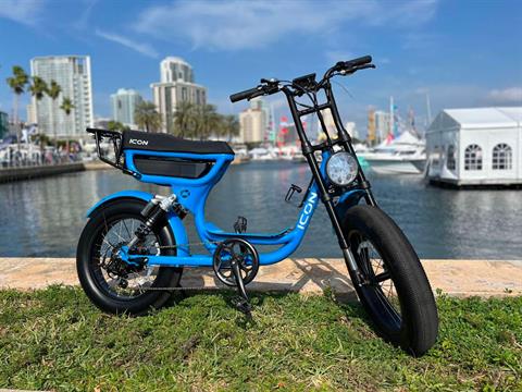 2024 ICON Electric Vehicles EB01 in Rancho Murieta, California - Photo 11