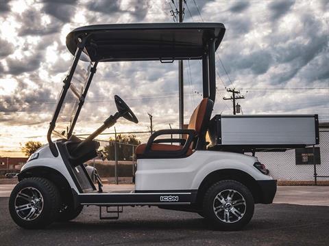 2024 ICON Electric Vehicles C20S in Rancho Murieta, California - Photo 13
