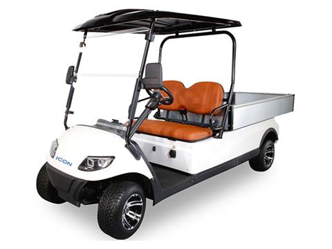 2024 ICON Electric Vehicles C20U in Rancho Murieta, California