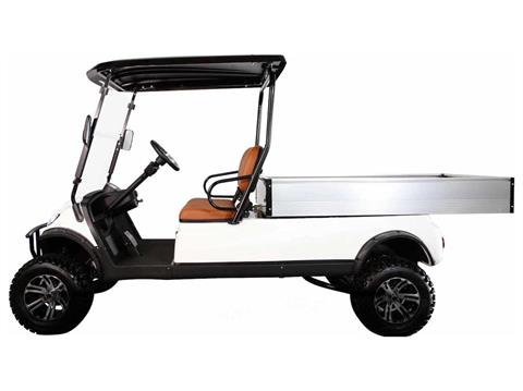 2024 ICON Electric Vehicles C20UL in Rancho Murieta, California - Photo 2