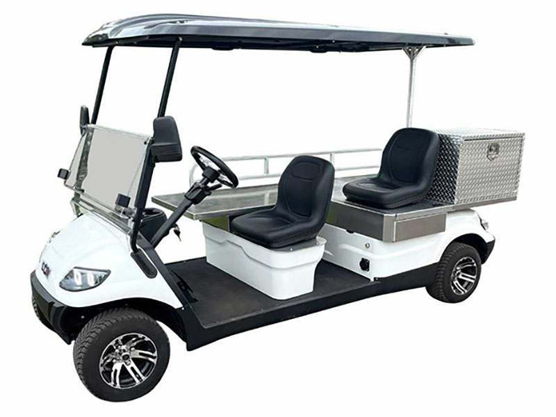 2024 ICON Electric Vehicles C30AMB in Rancho Murieta, California - Photo 1