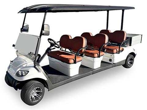 2024 ICON Electric Vehicles C60FS in Rancho Murieta, California