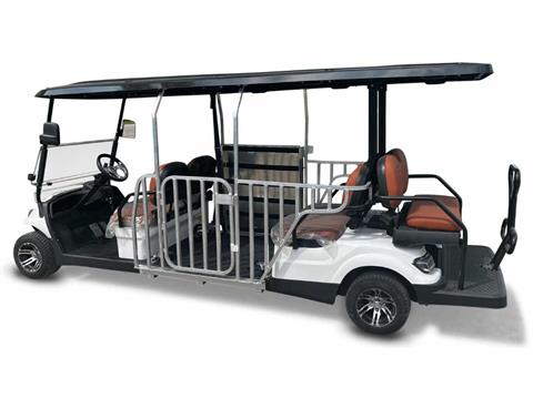 2025 ICON Electric Vehicles C70W in Rancho Murieta, California - Photo 3