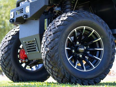 2025 ICON Electric Vehicles PURE EV P40L in Rancho Murieta, California - Photo 13