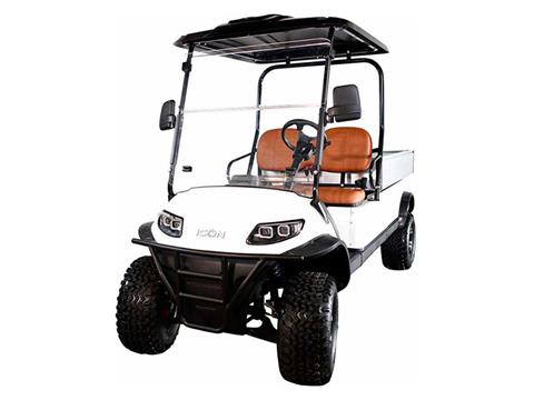 2025 ICON Electric Vehicles C20UL in Rancho Murieta, California