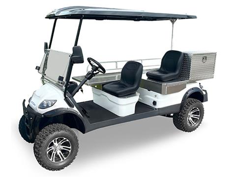 2025 ICON Electric Vehicles C30AMBL in Rancho Murieta, California - Photo 1