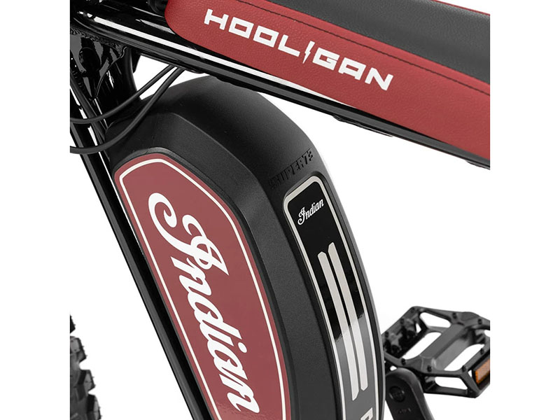 2023 Indian Motorcycle eFTR HOOLIGAN 1.2 in Tyngsboro, Massachusetts - Photo 8