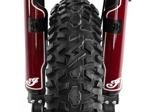 2024 Indian Motorcycle eFTR HOOLIGAN 1.2 in Foxboro, Massachusetts - Photo 11
