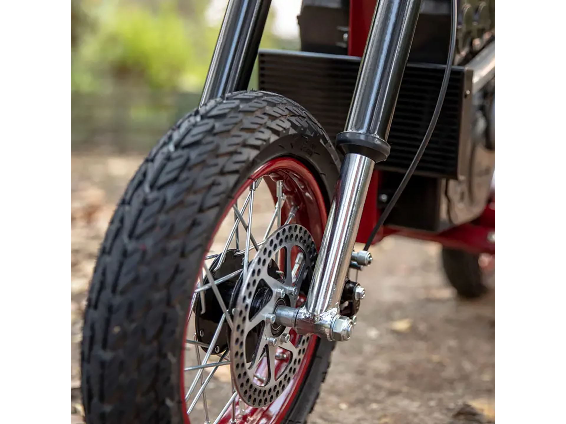 2024 Indian Motorcycle eFTR Jr in Columbia, Missouri - Photo 8