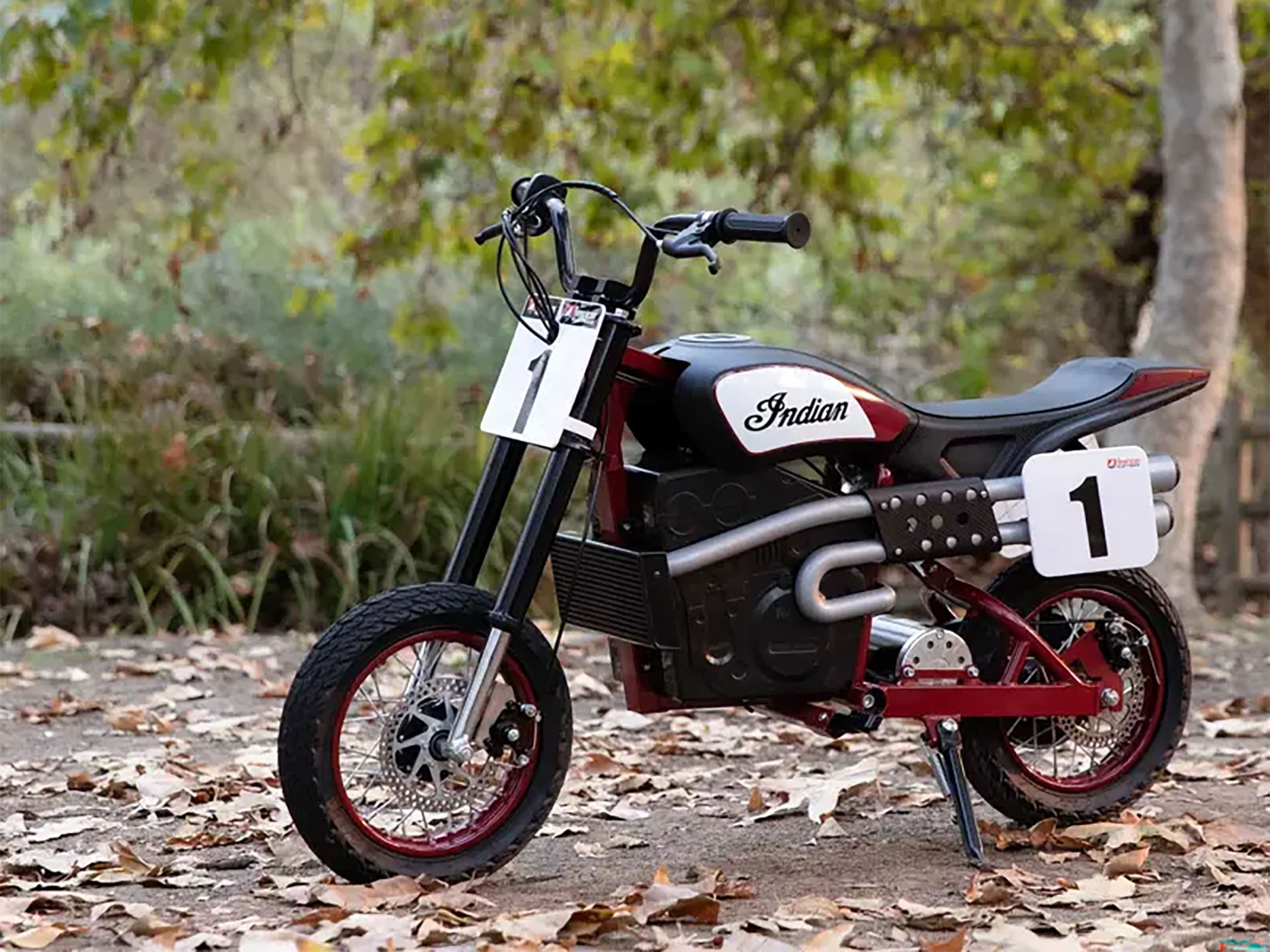 2024 Indian Motorcycle eFTR Jr in Columbia, Missouri - Photo 13