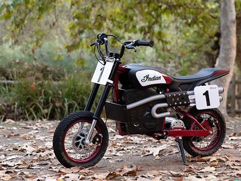 2024 Indian Motorcycle eFTR Jr in Columbia, Missouri - Photo 13