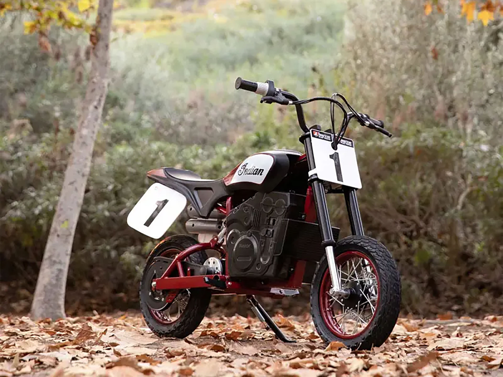 2024 Indian Motorcycle eFTR Jr in Columbia, Missouri - Photo 14