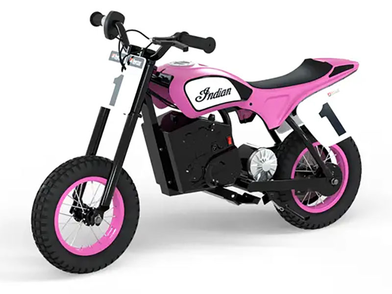 2024 Indian Motorcycle eFTR Mini in Hollister, California - Photo 4