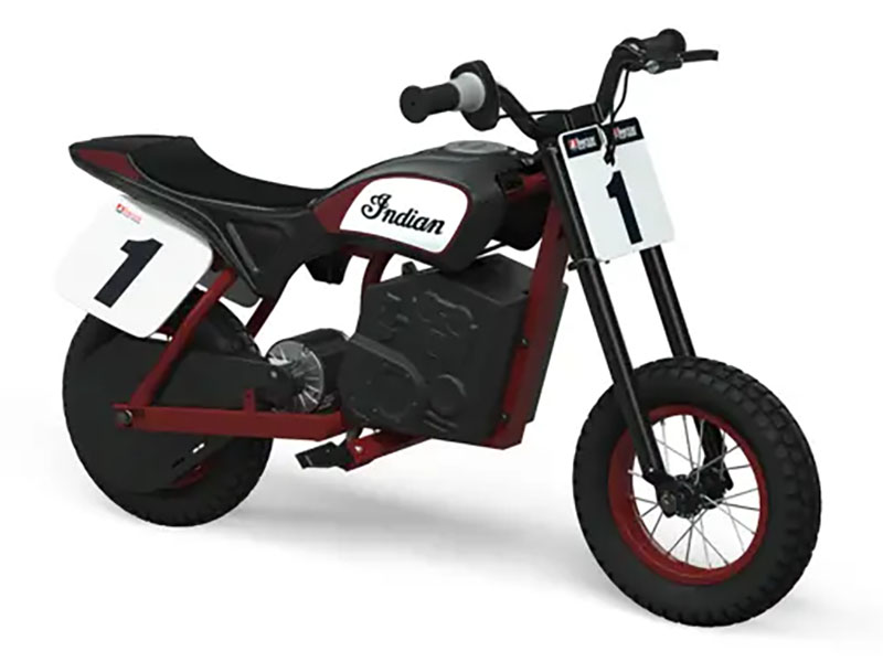 2024 Indian Motorcycle eFTR Mini in Manchester, New Hampshire - Photo 3