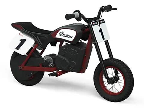 2024 Indian Motorcycle eFTR Mini in Manchester, New Hampshire - Photo 3