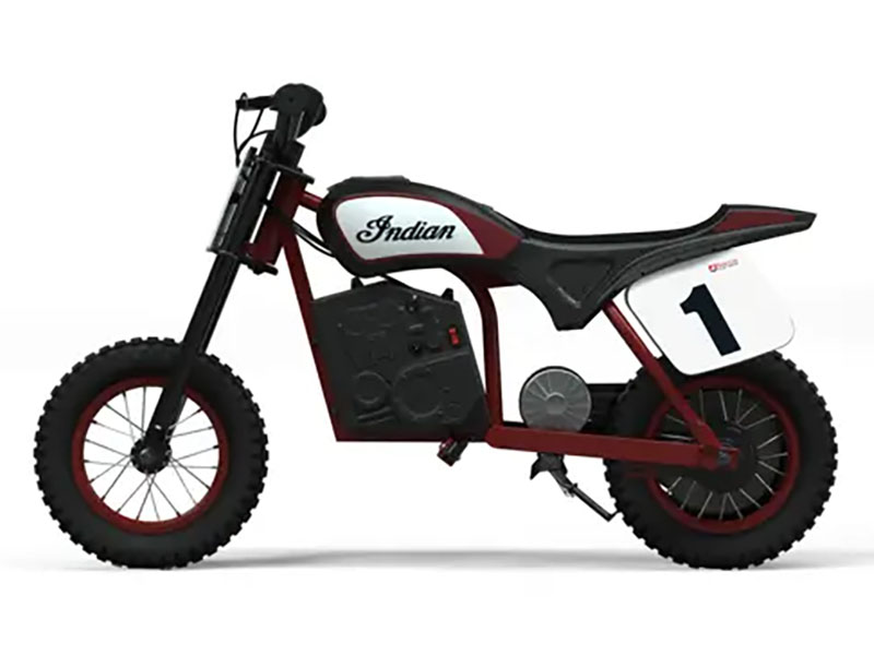 2024 Indian Motorcycle eFTR Mini in Manchester, New Hampshire - Photo 2