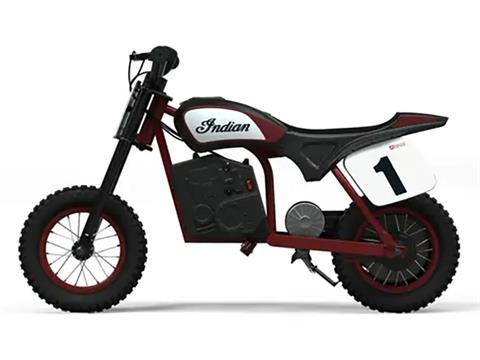 2024 Indian Motorcycle eFTR Mini in Manchester, New Hampshire - Photo 2