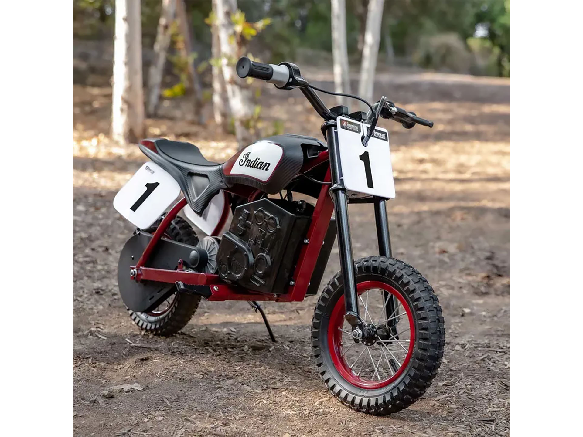 2024 Indian Motorcycle eFTR Mini in Manchester, New Hampshire - Photo 14