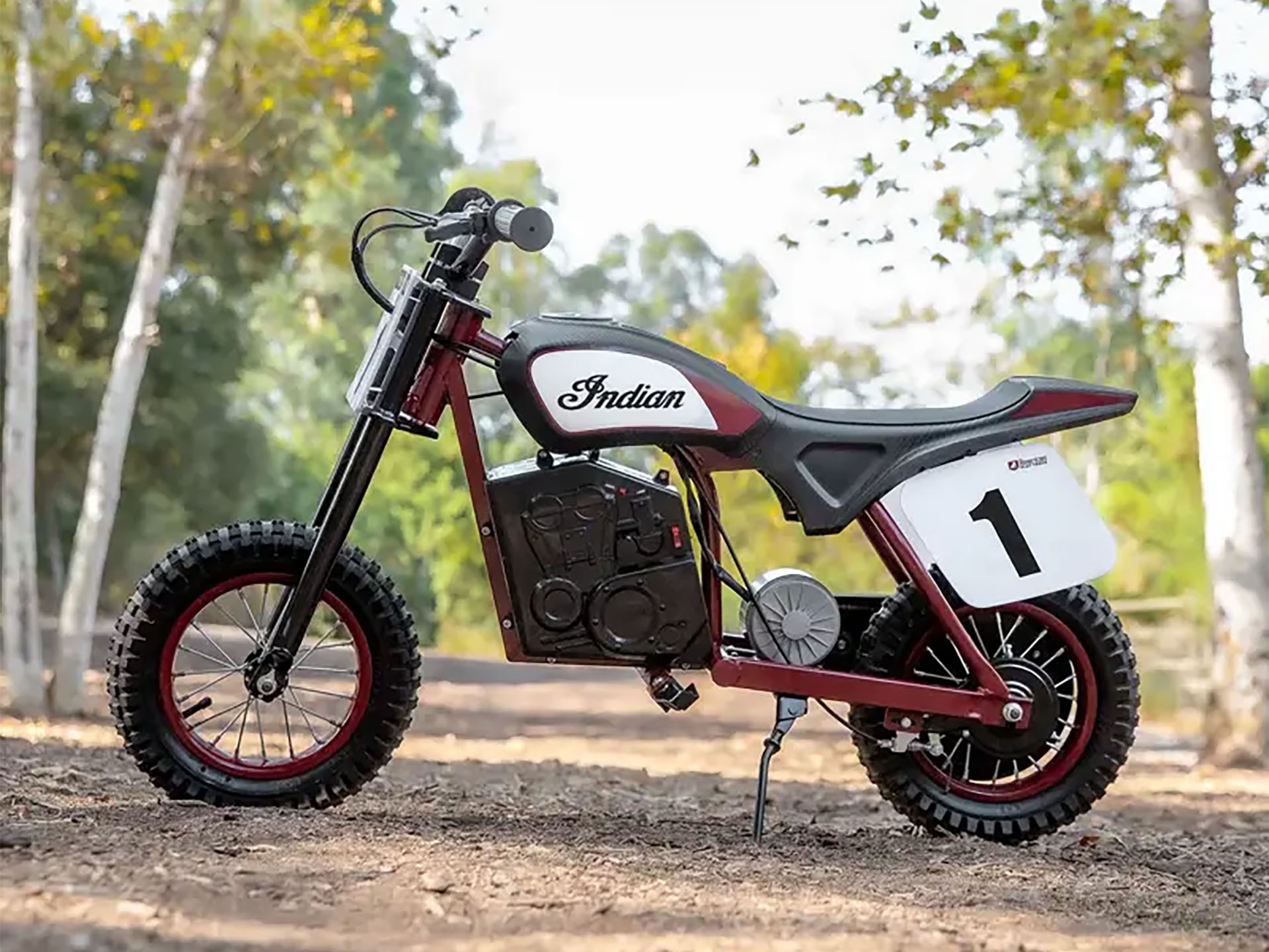 2024 Indian Motorcycle eFTR Mini in Manchester, New Hampshire - Photo 15