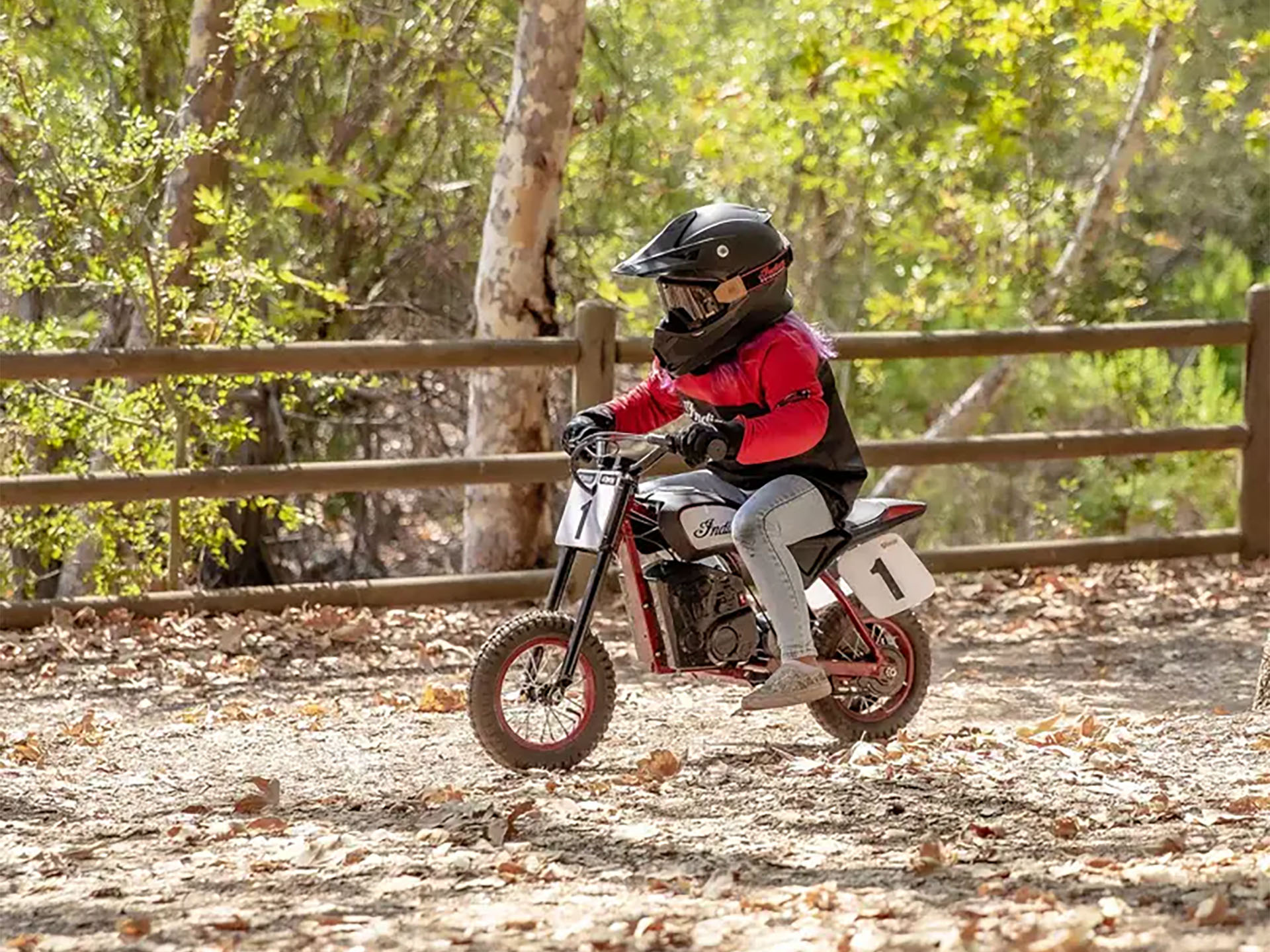 2024 Indian Motorcycle eFTR Mini in Manchester, New Hampshire - Photo 16
