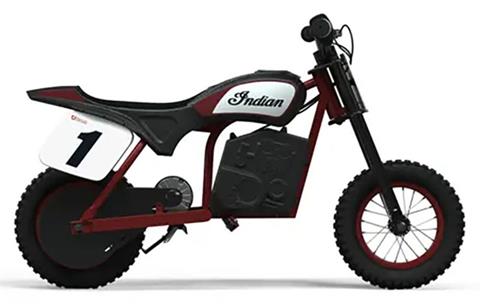 2024 Indian Motorcycle eFTR Mini in Hollister, California