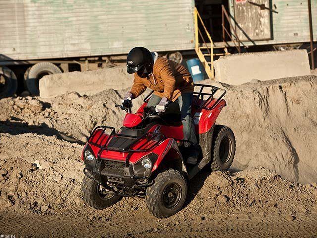 2013 Kawasaki Brute Force® 300 10