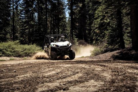 2016 Kawasaki Teryx4 in Santa Maria, California - Photo 18