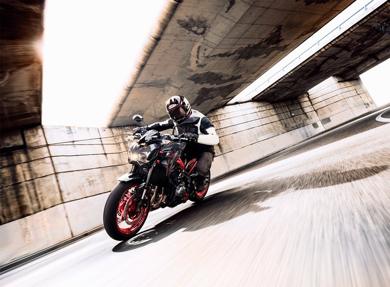 Used 2019 Kawasaki Z900 ABS | Motorcycles in Asheville NC