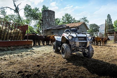 2021 Kawasaki Brute Force 300 in Northampton, Massachusetts - Photo 7