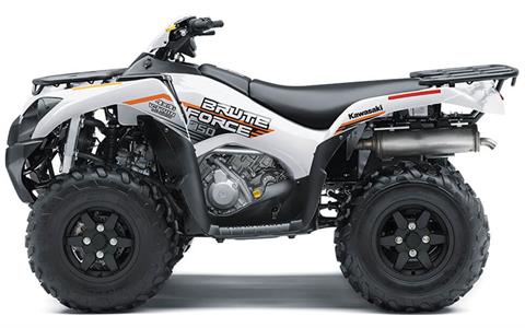 2021 Kawasaki Brute Force 750 4x4i EPS in Yankton, South Dakota - Photo 11
