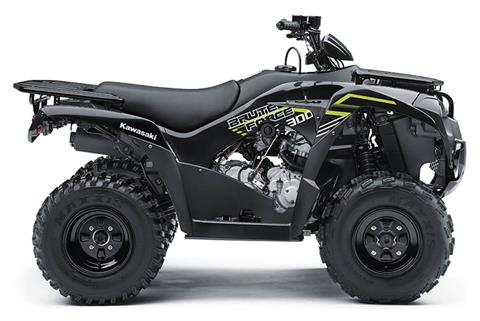 2022 Kawasaki Brute Force 300 in Northampton, Massachusetts - Photo 1