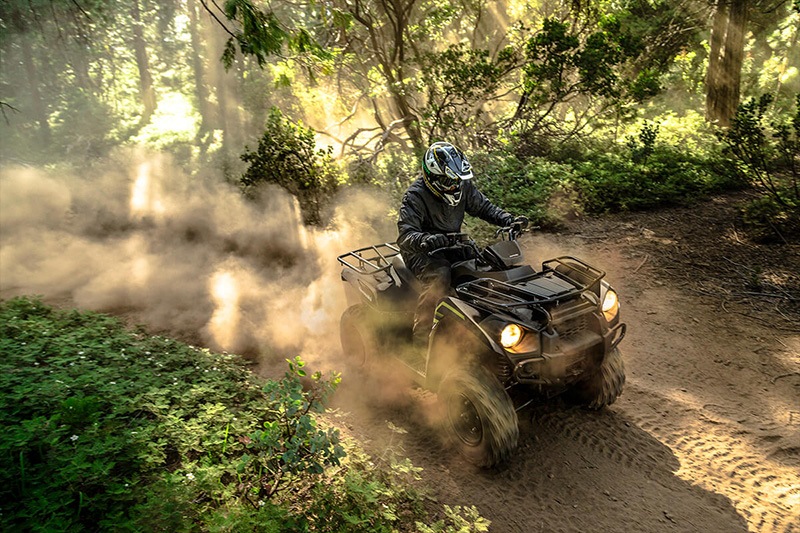 2022 Kawasaki Brute Force 300 in Northampton, Massachusetts - Photo 4