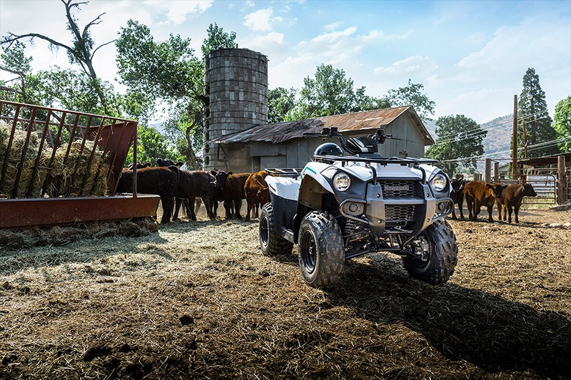 2022 Kawasaki Brute Force 300 in Northampton, Massachusetts - Photo 5