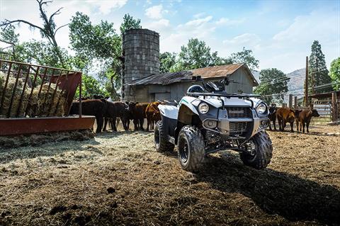 2022 Kawasaki Brute Force 300 in Northampton, Massachusetts - Photo 5