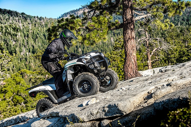 2022 Kawasaki Brute Force 300 in Northampton, Massachusetts - Photo 6