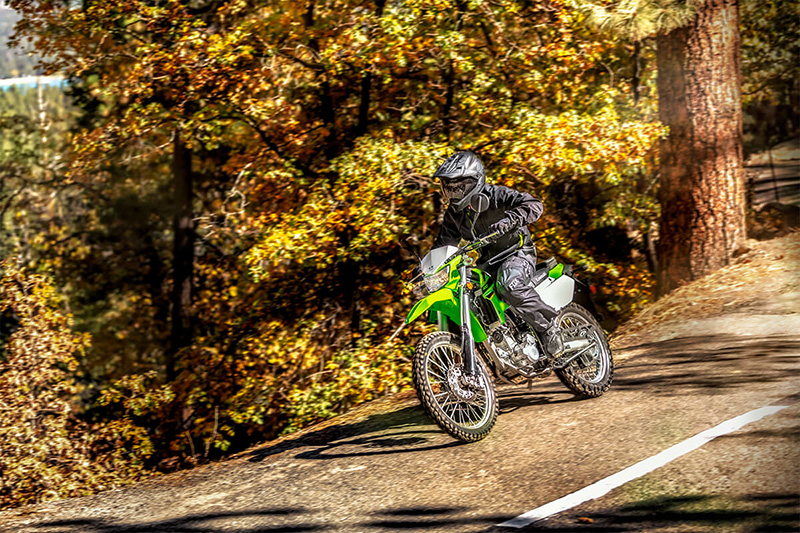 2022 Kawasaki KLX 300 in Mentor, Ohio - Photo 14