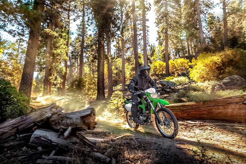 2022 Kawasaki KLX 300 in Mentor, Ohio - Photo 16