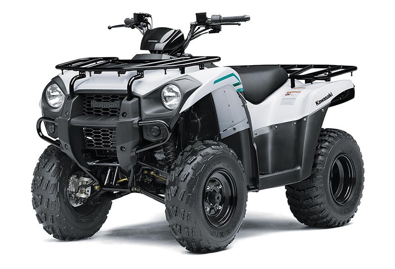 2023 Kawasaki Brute Force 300 in Huron, Ohio - Photo 3